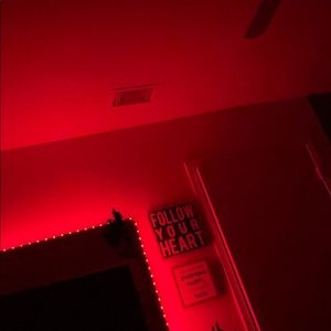 Meet your Posher, Colette